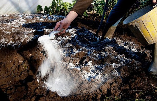 Cykl 5 szkoleń z zakresu ekologii i ochrony gleby wśród rolników